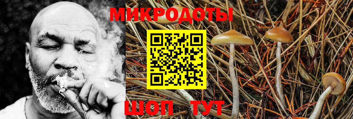 Галлюциногенные грибы Psilocybe  закладки  Елабуга  Вход с VPN 